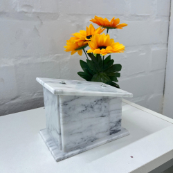Urna White 1
